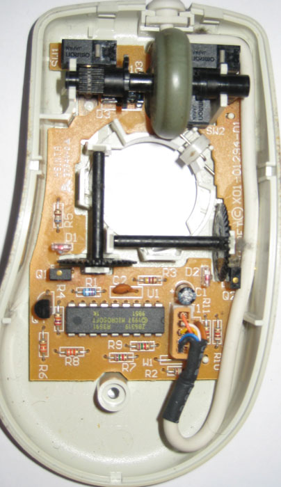 Mouse D