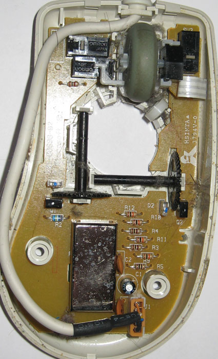 Mouse F